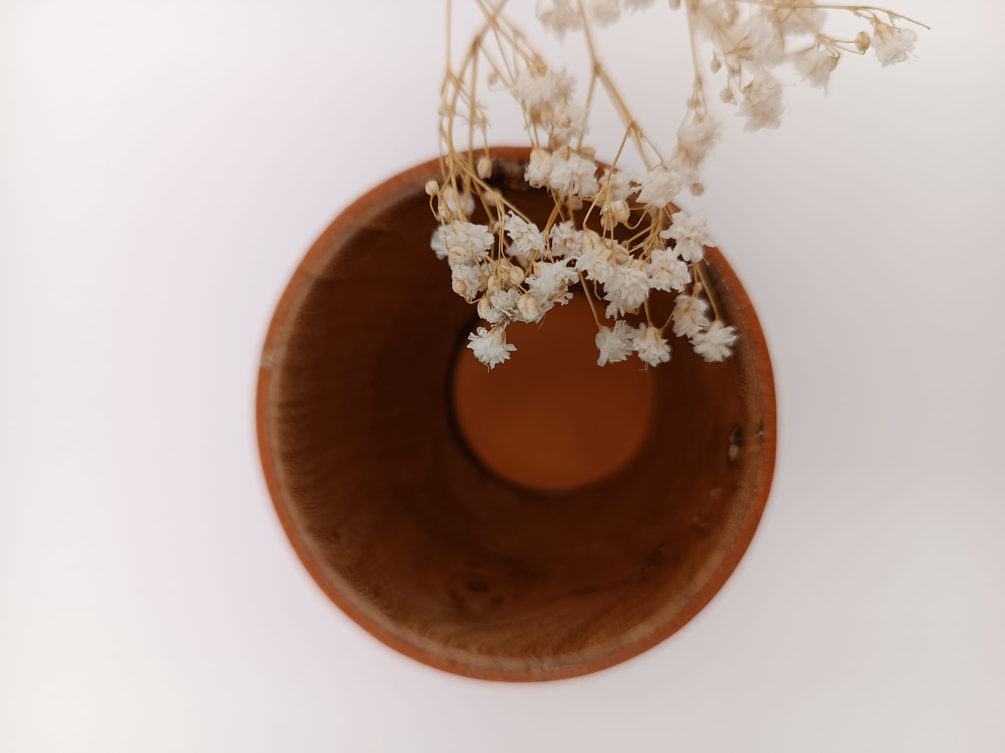 371F2D7E-8C14-43D8-A969-8A174478C7F2