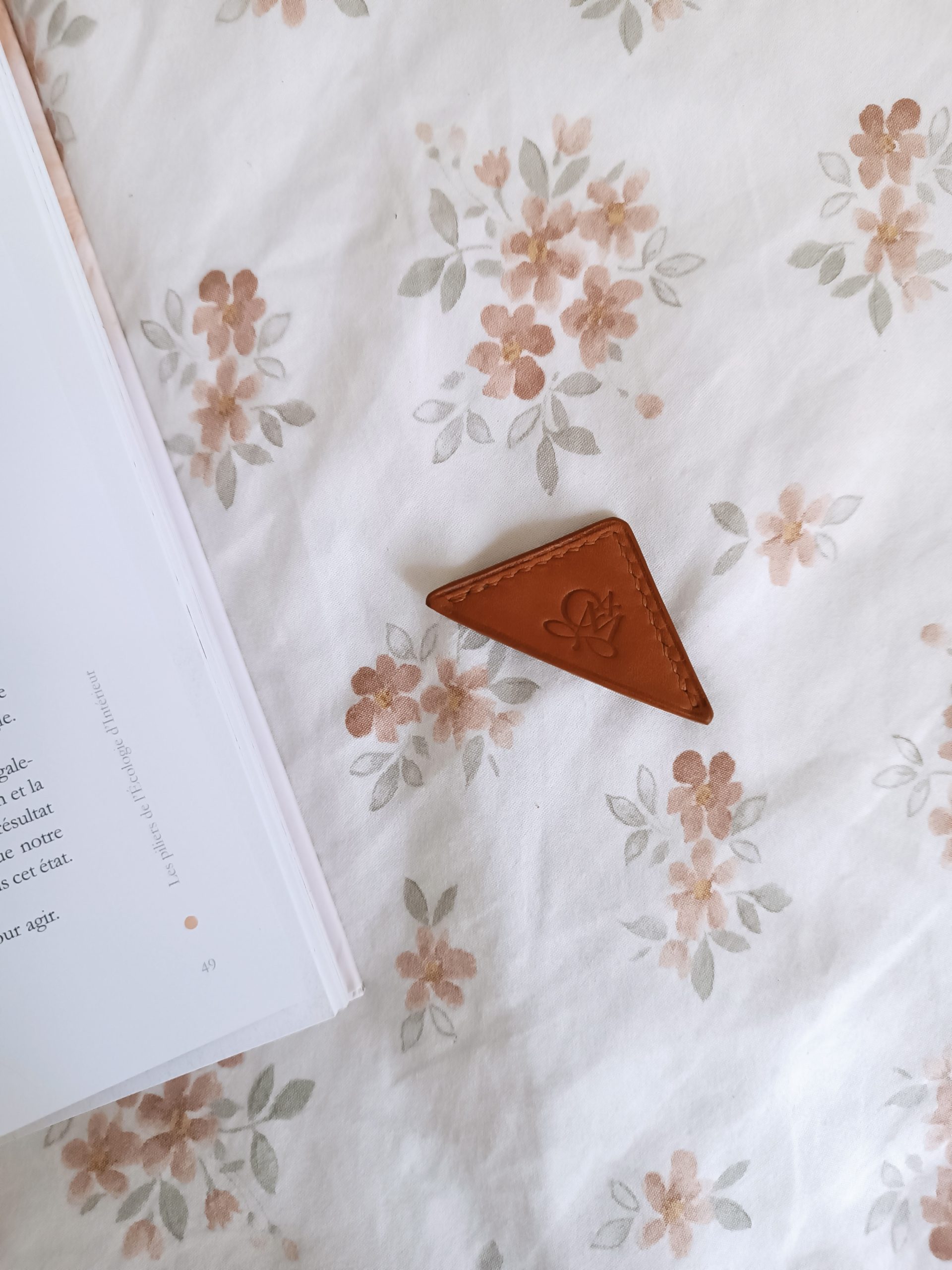 5676CF9F-D485-413B-BE92-A4E49E3AB3D7_1_201_a